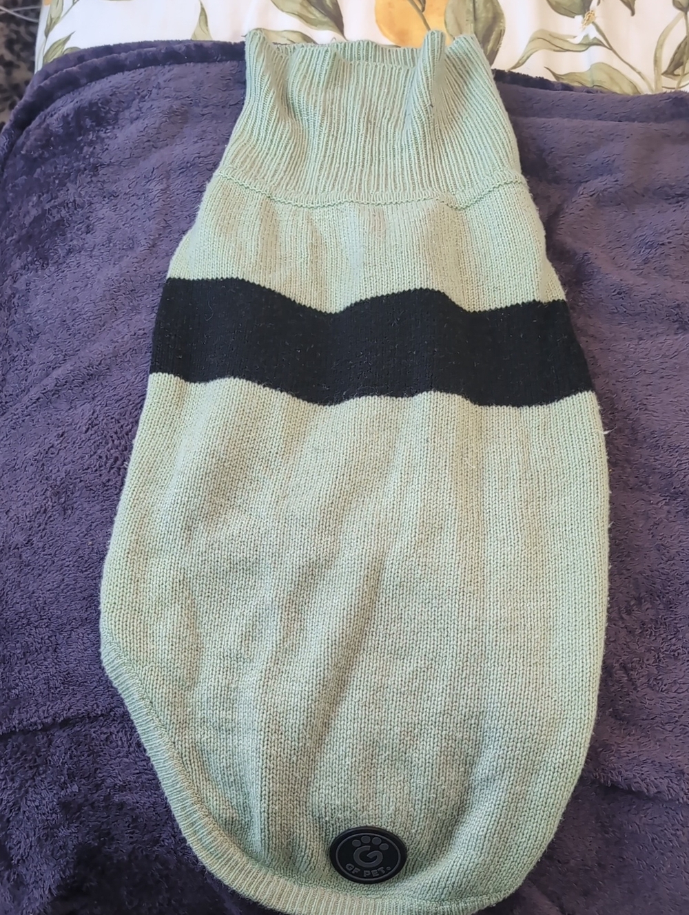 Light Green Dog Jumper With Black Stripe